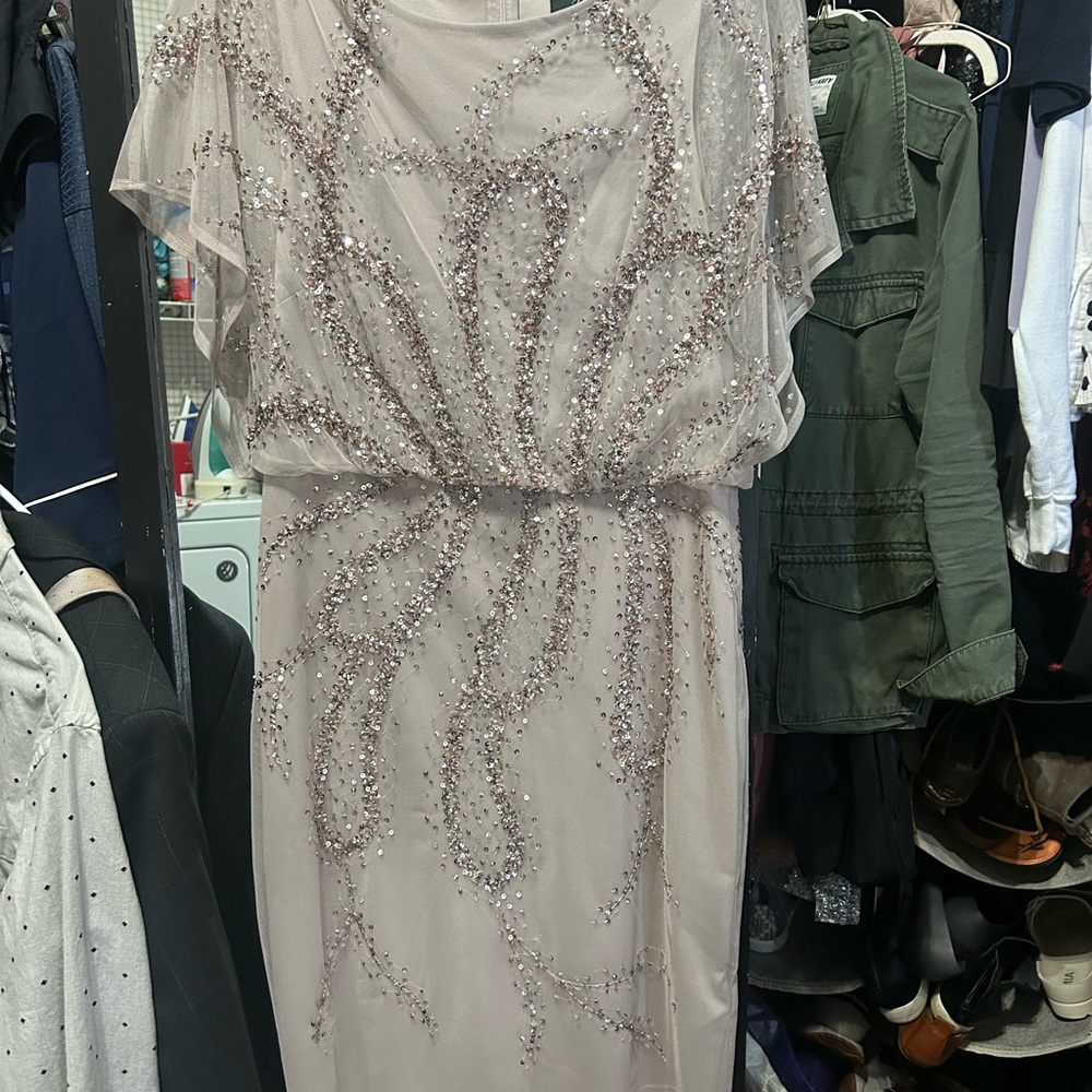 Adrianna Papell Blush Beaded Midi Dress